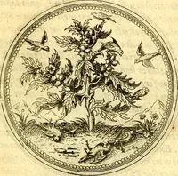 An illustration from Joachimi Camerarii Symbolorvm et emblematvm centvriæ tres. I. Ex herbis & stirpibus. II. Ex animalibus quadrupedibus. III. Ex volatilibus & insectis. Accessit noviter centvria IV. Ex aquatilibus & reptilibus. Cvm figvris æneis (1605)