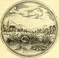 An illustration from Joachimi Camerarii Symbolorvm et emblematvm centvriæ tres. I. Ex herbis & stirpibus. II. Ex animalibus quadrupedibus. III. Ex volatilibus & insectis. Accessit noviter centvria IV. Ex aquatilibus & reptilibus. Cvm figvris æneis (1605)
