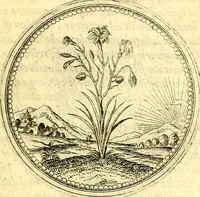 An illustration from Joachimi Camerarii Symbolorvm et emblematvm centvriæ tres. I. Ex herbis & stirpibus. II. Ex animalibus quadrupedibus. III. Ex volatilibus & insectis. Accessit noviter centvria IV. Ex aquatilibus & reptilibus. Cvm figvris æneis (1605)