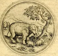 An illustration from Joachimi Camerarii Symbolorvm et emblematvm centvriæ tres. I. Ex herbis & stirpibus. II. Ex animalibus quadrupedibus. III. Ex volatilibus & insectis. Accessit noviter centvria IV. Ex aquatilibus & reptilibus. Cvm figvris æneis (1605)