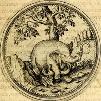 Picture 159 of 302 from Joachimi Camerarii Symbolorvm et emblematvm centvriæ tres. I. Ex herbis & stirpibus. II. Ex animalibus quadrupedibus. III. Ex volatilibus & insectis. Accessit noviter centvria IV. Ex aquatilibus & reptilibus. Cvm figvris æneis (1605), leaf 214