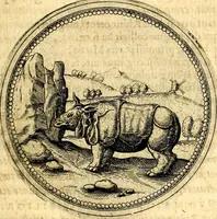 Picture 161 of 302 from Joachimi Camerarii Symbolorvm et emblematvm centvriæ tres. I. Ex herbis & stirpibus. II. Ex animalibus quadrupedibus. III. Ex volatilibus & insectis. Accessit noviter centvria IV. Ex aquatilibus & reptilibus. Cvm figvris æneis (1605), leaf 216