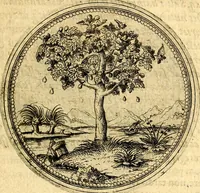 An illustration from Joachimi Camerarii Symbolorvm et emblematvm centvriæ tres. I. Ex herbis & stirpibus. II. Ex animalibus quadrupedibus. III. Ex volatilibus & insectis. Accessit noviter centvria IV. Ex aquatilibus & reptilibus. Cvm figvris æneis (1605)