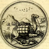 An illustration from Joachimi Camerarii Symbolorvm et emblematvm centvriæ tres. I. Ex herbis & stirpibus. II. Ex animalibus quadrupedibus. III. Ex volatilibus & insectis. Accessit noviter centvria IV. Ex aquatilibus & reptilibus. Cvm figvris æneis (1605)
