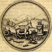 An illustration from Joachimi Camerarii Symbolorvm et emblematvm centvriæ tres. I. Ex herbis & stirpibus. II. Ex animalibus quadrupedibus. III. Ex volatilibus & insectis. Accessit noviter centvria IV. Ex aquatilibus & reptilibus. Cvm figvris æneis (1605)