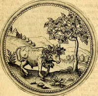 An illustration from Joachimi Camerarii Symbolorvm et emblematvm centvriæ tres. I. Ex herbis & stirpibus. II. Ex animalibus quadrupedibus. III. Ex volatilibus & insectis. Accessit noviter centvria IV. Ex aquatilibus & reptilibus. Cvm figvris æneis (1605)