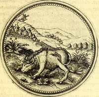 An illustration from Joachimi Camerarii Symbolorvm et emblematvm centvriæ tres. I. Ex herbis & stirpibus. II. Ex animalibus quadrupedibus. III. Ex volatilibus & insectis. Accessit noviter centvria IV. Ex aquatilibus & reptilibus. Cvm figvris æneis (1605)