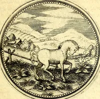 An illustration from Joachimi Camerarii Symbolorvm et emblematvm centvriæ tres. I. Ex herbis & stirpibus. II. Ex animalibus quadrupedibus. III. Ex volatilibus & insectis. Accessit noviter centvria IV. Ex aquatilibus & reptilibus. Cvm figvris æneis (1605)
