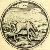 An illustration from Joachimi Camerarii Symbolorvm et emblematvm centvriæ tres. I. Ex herbis & stirpibus. II. Ex animalibus quadrupedibus. III. Ex volatilibus & insectis. Accessit noviter centvria IV. Ex aquatilibus & reptilibus. Cvm figvris æneis (1605)