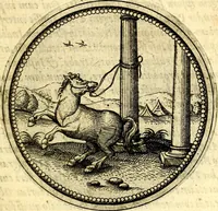 Picture 203 of 302 from Joachimi Camerarii Symbolorvm et emblematvm centvriæ tres. I. Ex herbis & stirpibus. II. Ex animalibus quadrupedibus. III. Ex volatilibus & insectis. Accessit noviter centvria IV. Ex aquatilibus & reptilibus. Cvm figvris æneis (1605), leaf 270