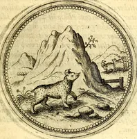 Picture 206 of 302 from Joachimi Camerarii Symbolorvm et emblematvm centvriæ tres. I. Ex herbis & stirpibus. II. Ex animalibus quadrupedibus. III. Ex volatilibus & insectis. Accessit noviter centvria IV. Ex aquatilibus & reptilibus. Cvm figvris æneis (1605), leaf 276