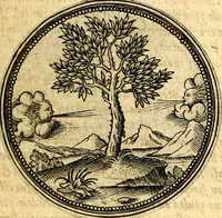 An illustration from Joachimi Camerarii Symbolorvm et emblematvm centvriæ tres. I. Ex herbis & stirpibus. II. Ex animalibus quadrupedibus. III. Ex volatilibus & insectis. Accessit noviter centvria IV. Ex aquatilibus & reptilibus. Cvm figvris æneis (1605)