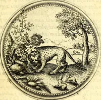 An illustration from Joachimi Camerarii Symbolorvm et emblematvm centvriæ tres. I. Ex herbis & stirpibus. II. Ex animalibus quadrupedibus. III. Ex volatilibus & insectis. Accessit noviter centvria IV. Ex aquatilibus & reptilibus. Cvm figvris æneis (1605)