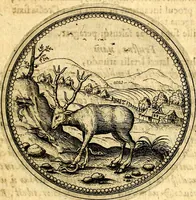 An illustration from Joachimi Camerarii Symbolorvm et emblematvm centvriæ tres. I. Ex herbis & stirpibus. II. Ex animalibus quadrupedibus. III. Ex volatilibus & insectis. Accessit noviter centvria IV. Ex aquatilibus & reptilibus. Cvm figvris æneis (1605)