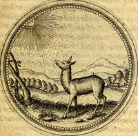 An illustration from Joachimi Camerarii Symbolorvm et emblematvm centvriæ tres. I. Ex herbis & stirpibus. II. Ex animalibus quadrupedibus. III. Ex volatilibus & insectis. Accessit noviter centvria IV. Ex aquatilibus & reptilibus. Cvm figvris æneis (1605)