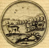 An illustration from Joachimi Camerarii Symbolorvm et emblematvm centvriæ tres. I. Ex herbis & stirpibus. II. Ex animalibus quadrupedibus. III. Ex volatilibus & insectis. Accessit noviter centvria IV. Ex aquatilibus & reptilibus. Cvm figvris æneis (1605)