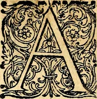 Picture 226 of 302 from Joachimi Camerarii Symbolorvm et emblematvm centvriæ tres. I. Ex herbis & stirpibus. II. Ex animalibus quadrupedibus. III. Ex volatilibus & insectis. Accessit noviter centvria IV. Ex aquatilibus & reptilibus. Cvm figvris æneis (1605), leaf 303
