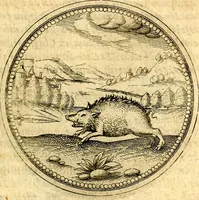 Picture 227 of 302 from Joachimi Camerarii Symbolorvm et emblematvm centvriæ tres. I. Ex herbis & stirpibus. II. Ex animalibus quadrupedibus. III. Ex volatilibus & insectis. Accessit noviter centvria IV. Ex aquatilibus & reptilibus. Cvm figvris æneis (1605), leaf 304