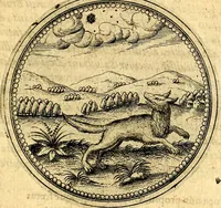 Picture 233 of 302 from Joachimi Camerarii Symbolorvm et emblematvm centvriæ tres. I. Ex herbis & stirpibus. II. Ex animalibus quadrupedibus. III. Ex volatilibus & insectis. Accessit noviter centvria IV. Ex aquatilibus & reptilibus. Cvm figvris æneis (1605), leaf 310