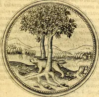 Picture 237 of 302 from Joachimi Camerarii Symbolorvm et emblematvm centvriæ tres. I. Ex herbis & stirpibus. II. Ex animalibus quadrupedibus. III. Ex volatilibus & insectis. Accessit noviter centvria IV. Ex aquatilibus & reptilibus. Cvm figvris æneis (1605), leaf 316