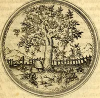 An illustration from Joachimi Camerarii Symbolorvm et emblematvm centvriæ tres. I. Ex herbis & stirpibus. II. Ex animalibus quadrupedibus. III. Ex volatilibus & insectis. Accessit noviter centvria IV. Ex aquatilibus & reptilibus. Cvm figvris æneis (1605)