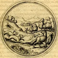 Picture 240 of 302 from Joachimi Camerarii Symbolorvm et emblematvm centvriæ tres. I. Ex herbis & stirpibus. II. Ex animalibus quadrupedibus. III. Ex volatilibus & insectis. Accessit noviter centvria IV. Ex aquatilibus & reptilibus. Cvm figvris æneis (1605), leaf 320