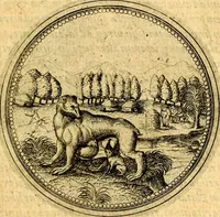An illustration from Joachimi Camerarii Symbolorvm et emblematvm centvriæ tres. I. Ex herbis & stirpibus. II. Ex animalibus quadrupedibus. III. Ex volatilibus & insectis. Accessit noviter centvria IV. Ex aquatilibus & reptilibus. Cvm figvris æneis (1605)