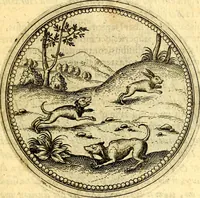 An illustration from Joachimi Camerarii Symbolorvm et emblematvm centvriæ tres. I. Ex herbis & stirpibus. II. Ex animalibus quadrupedibus. III. Ex volatilibus & insectis. Accessit noviter centvria IV. Ex aquatilibus & reptilibus. Cvm figvris æneis (1605)