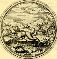 Picture 246 of 302 from Joachimi Camerarii Symbolorvm et emblematvm centvriæ tres. I. Ex herbis & stirpibus. II. Ex animalibus quadrupedibus. III. Ex volatilibus & insectis. Accessit noviter centvria IV. Ex aquatilibus & reptilibus. Cvm figvris æneis (1605), leaf 328