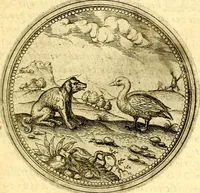 Picture 248 of 302 from Joachimi Camerarii Symbolorvm et emblematvm centvriæ tres. I. Ex herbis & stirpibus. II. Ex animalibus quadrupedibus. III. Ex volatilibus & insectis. Accessit noviter centvria IV. Ex aquatilibus & reptilibus. Cvm figvris æneis (1605), leaf 332