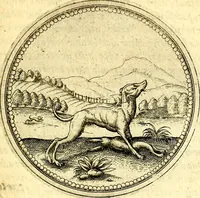 An illustration from Joachimi Camerarii Symbolorvm et emblematvm centvriæ tres. I. Ex herbis & stirpibus. II. Ex animalibus quadrupedibus. III. Ex volatilibus & insectis. Accessit noviter centvria IV. Ex aquatilibus & reptilibus. Cvm figvris æneis (1605)