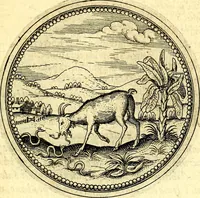 An illustration from Joachimi Camerarii Symbolorvm et emblematvm centvriæ tres. I. Ex herbis & stirpibus. II. Ex animalibus quadrupedibus. III. Ex volatilibus & insectis. Accessit noviter centvria IV. Ex aquatilibus & reptilibus. Cvm figvris æneis (1605)
