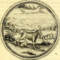 Picture 253 of 302 from Joachimi Camerarii Symbolorvm et emblematvm centvriæ tres. I. Ex herbis & stirpibus. II. Ex animalibus quadrupedibus. III. Ex volatilibus & insectis. Accessit noviter centvria IV. Ex aquatilibus & reptilibus. Cvm figvris æneis (1605), leaf 338