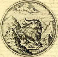 An illustration from Joachimi Camerarii Symbolorvm et emblematvm centvriæ tres. I. Ex herbis & stirpibus. II. Ex animalibus quadrupedibus. III. Ex volatilibus & insectis. Accessit noviter centvria IV. Ex aquatilibus & reptilibus. Cvm figvris æneis (1605)