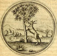 An illustration from Joachimi Camerarii Symbolorvm et emblematvm centvriæ tres. I. Ex herbis & stirpibus. II. Ex animalibus quadrupedibus. III. Ex volatilibus & insectis. Accessit noviter centvria IV. Ex aquatilibus & reptilibus. Cvm figvris æneis (1605)