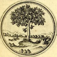 An illustration from Joachimi Camerarii Symbolorvm et emblematvm centvriæ tres. I. Ex herbis & stirpibus. II. Ex animalibus quadrupedibus. III. Ex volatilibus & insectis. Accessit noviter centvria IV. Ex aquatilibus & reptilibus. Cvm figvris æneis (1605)