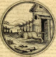 Picture 272 of 302 from Joachimi Camerarii Symbolorvm et emblematvm centvriæ tres. I. Ex herbis & stirpibus. II. Ex animalibus quadrupedibus. III. Ex volatilibus & insectis. Accessit noviter centvria IV. Ex aquatilibus & reptilibus. Cvm figvris æneis (1605), leaf 364