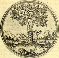 An illustration from Joachimi Camerarii Symbolorvm et emblematvm centvriæ tres. I. Ex herbis & stirpibus. II. Ex animalibus quadrupedibus. III. Ex volatilibus & insectis. Accessit noviter centvria IV. Ex aquatilibus & reptilibus. Cvm figvris æneis (1605)