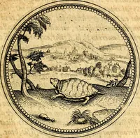 An illustration from Joachimi Camerarii Symbolorvm et emblematvm centvriæ tres. I. Ex herbis & stirpibus. II. Ex animalibus quadrupedibus. III. Ex volatilibus & insectis. Accessit noviter centvria IV. Ex aquatilibus & reptilibus. Cvm figvris æneis (1605)