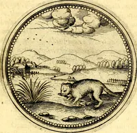 Picture 296 of 302 from Joachimi Camerarii Symbolorvm et emblematvm centvriæ tres. I. Ex herbis & stirpibus. II. Ex animalibus quadrupedibus. III. Ex volatilibus & insectis. Accessit noviter centvria IV. Ex aquatilibus & reptilibus. Cvm figvris æneis (1605), leaf 398