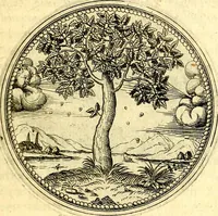 An illustration from Joachimi Camerarii Symbolorvm et emblematvm centvriæ tres. I. Ex herbis & stirpibus. II. Ex animalibus quadrupedibus. III. Ex volatilibus & insectis. Accessit noviter centvria IV. Ex aquatilibus & reptilibus. Cvm figvris æneis (1605)