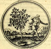 An illustration from Joachimi Camerarii Symbolorvm et emblematvm centvriæ tres. I. Ex herbis & stirpibus. II. Ex animalibus quadrupedibus. III. Ex volatilibus & insectis. Accessit noviter centvria IV. Ex aquatilibus & reptilibus. Cvm figvris æneis (1605)