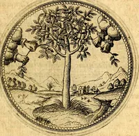 Picture 36 of 302 from Joachimi Camerarii Symbolorvm et emblematvm centvriæ tres. I. Ex herbis & stirpibus. II. Ex animalibus quadrupedibus. III. Ex volatilibus & insectis. Accessit noviter centvria IV. Ex aquatilibus & reptilibus. Cvm figvris æneis (1605), leaf 48
