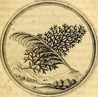 Picture 40 of 302 from Joachimi Camerarii Symbolorvm et emblematvm centvriæ tres. I. Ex herbis & stirpibus. II. Ex animalibus quadrupedibus. III. Ex volatilibus & insectis. Accessit noviter centvria IV. Ex aquatilibus & reptilibus. Cvm figvris æneis (1605), leaf 52