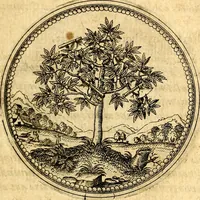 An illustration from Joachimi Camerarii Symbolorvm et emblematvm centvriæ tres. I. Ex herbis & stirpibus. II. Ex animalibus quadrupedibus. III. Ex volatilibus & insectis. Accessit noviter centvria IV. Ex aquatilibus & reptilibus. Cvm figvris æneis (1605)
