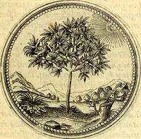 Picture 46 of 302 from Joachimi Camerarii Symbolorvm et emblematvm centvriæ tres. I. Ex herbis & stirpibus. II. Ex animalibus quadrupedibus. III. Ex volatilibus & insectis. Accessit noviter centvria IV. Ex aquatilibus & reptilibus. Cvm figvris æneis (1605), leaf 60