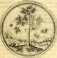 An illustration from Joachimi Camerarii Symbolorvm et emblematvm centvriæ tres. I. Ex herbis & stirpibus. II. Ex animalibus quadrupedibus. III. Ex volatilibus & insectis. Accessit noviter centvria IV. Ex aquatilibus & reptilibus. Cvm figvris æneis (1605)