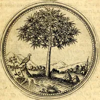 Picture 53 of 302 from Joachimi Camerarii Symbolorvm et emblematvm centvriæ tres. I. Ex herbis & stirpibus. II. Ex animalibus quadrupedibus. III. Ex volatilibus & insectis. Accessit noviter centvria IV. Ex aquatilibus & reptilibus. Cvm figvris æneis (1605), leaf 68