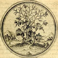 Picture 58 of 302 from Joachimi Camerarii Symbolorvm et emblematvm centvriæ tres. I. Ex herbis & stirpibus. II. Ex animalibus quadrupedibus. III. Ex volatilibus & insectis. Accessit noviter centvria IV. Ex aquatilibus & reptilibus. Cvm figvris æneis (1605), leaf 74