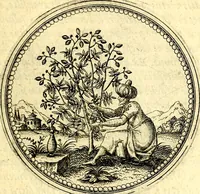 Picture 61 of 302 from Joachimi Camerarii Symbolorvm et emblematvm centvriæ tres. I. Ex herbis & stirpibus. II. Ex animalibus quadrupedibus. III. Ex volatilibus & insectis. Accessit noviter centvria IV. Ex aquatilibus & reptilibus. Cvm figvris æneis (1605), leaf 78